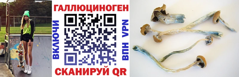 Псилоцибиновые грибы прущие грибы  Таганрог 